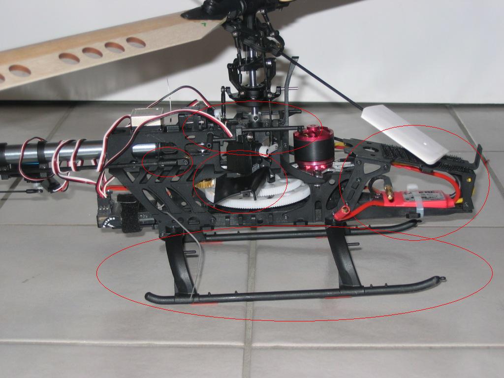 Cobra_1103.JPG