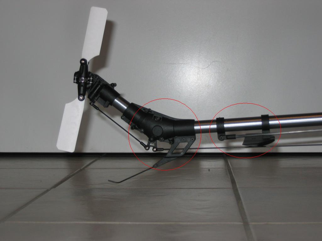 Cobra_1102.JPG
