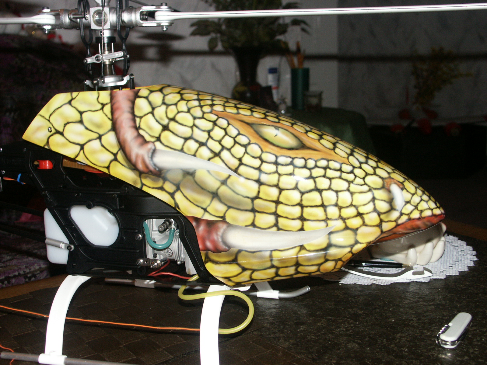 PICT0004.JPG