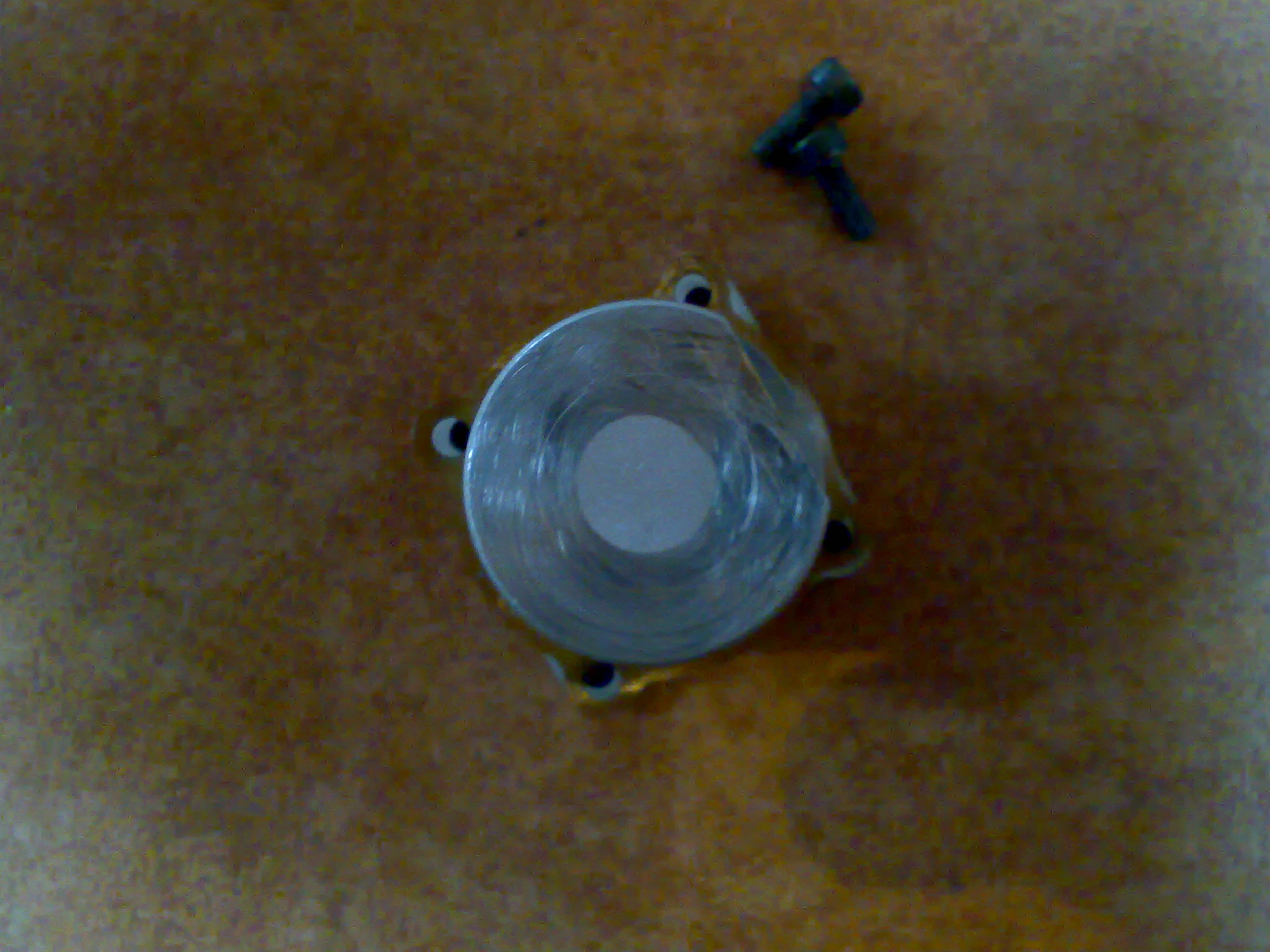 21032008154.jpg