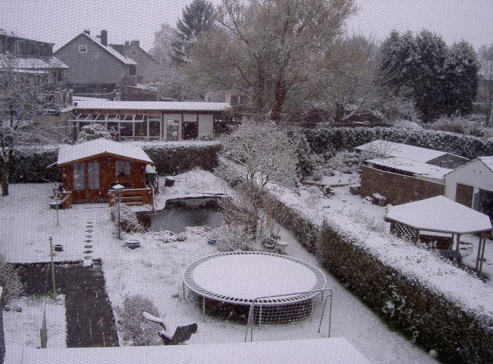 ein bild vom garten durchs fliegengitter