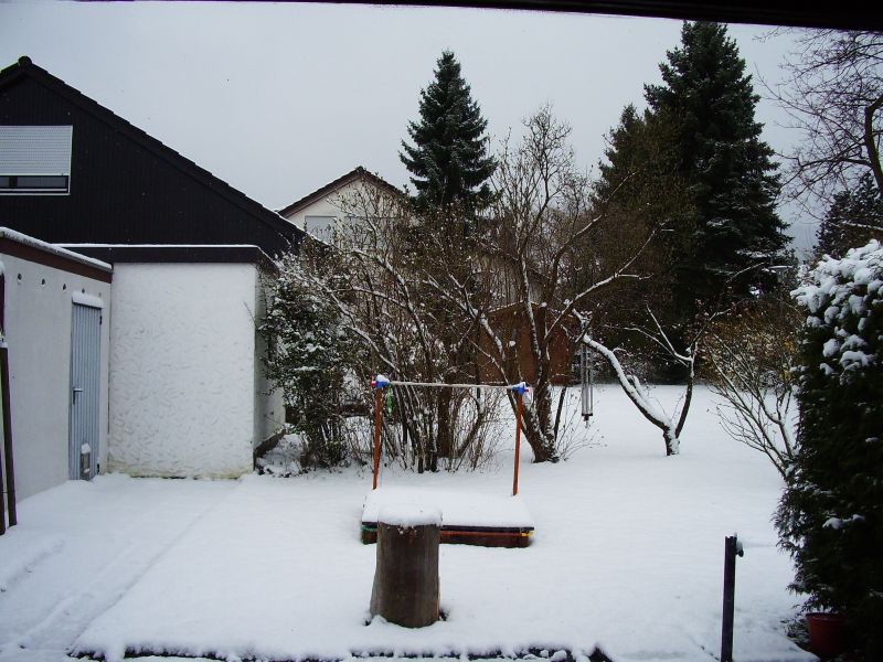 Winter.jpg