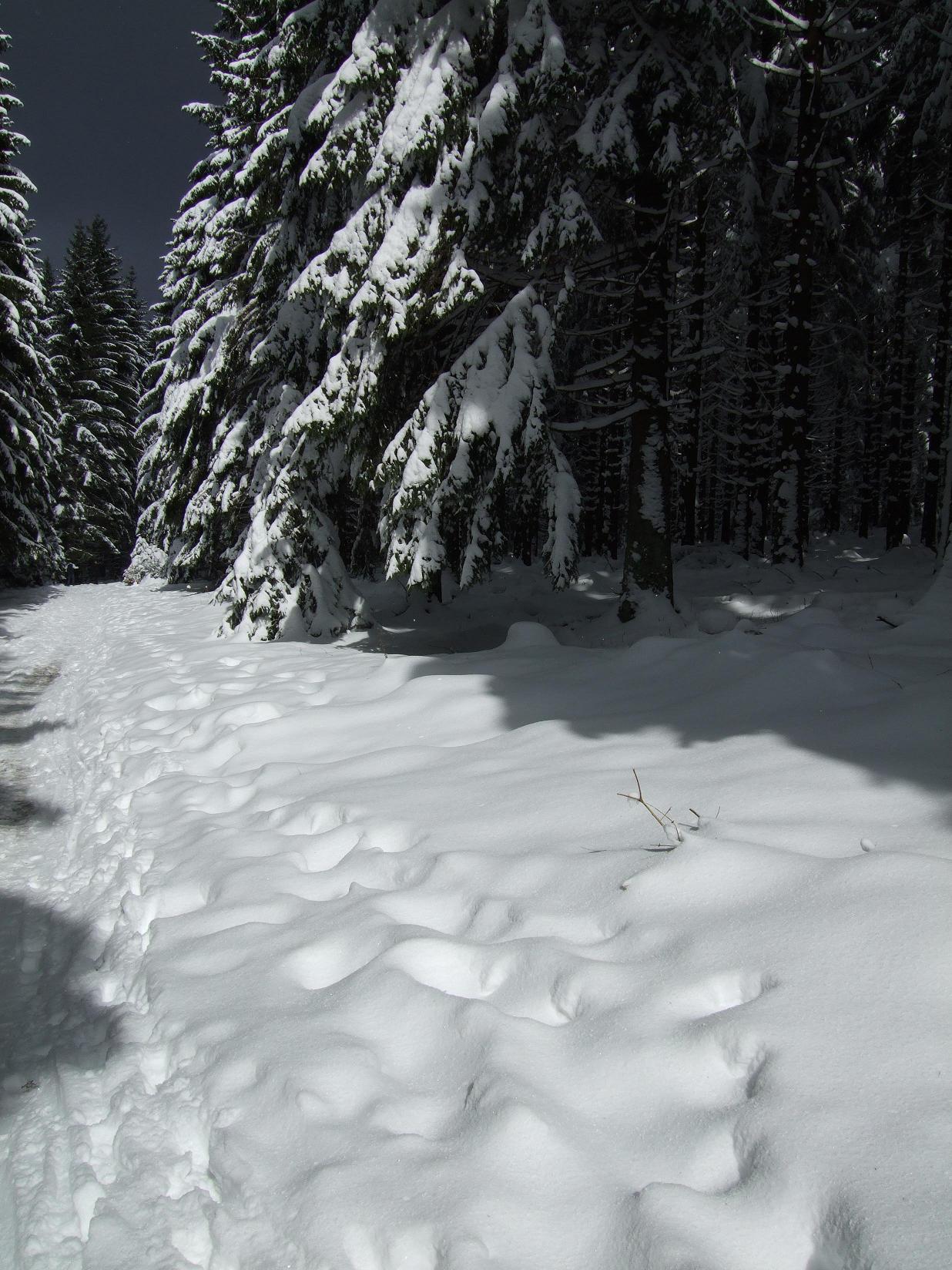 schnee.jpg