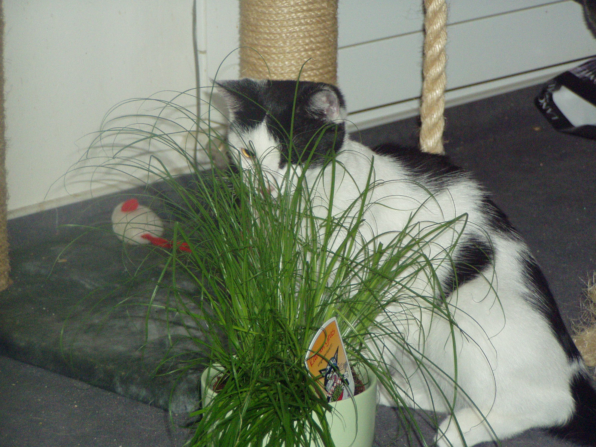 P1010179.JPG