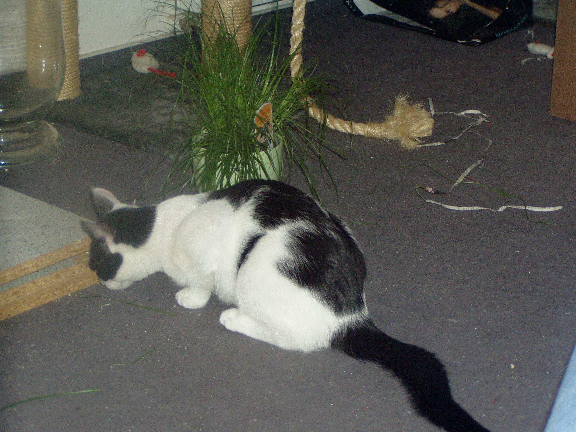 P1010196.JPG