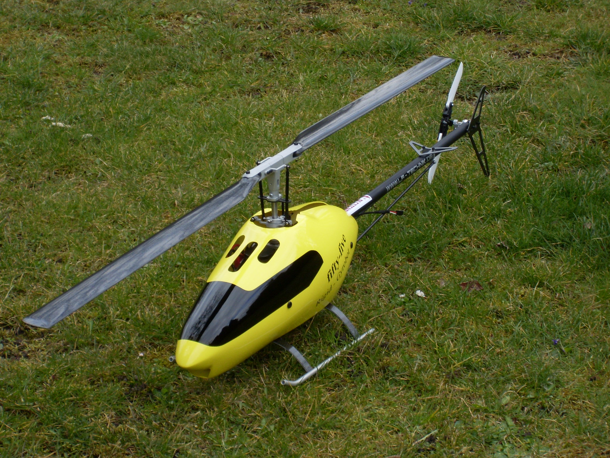 SL370330.JPG