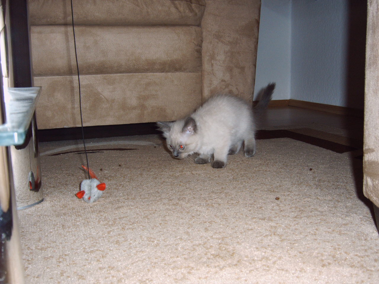 IMG00092.JPG