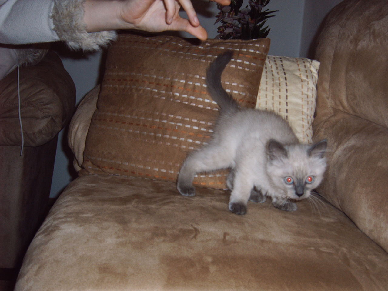 IMG00091.JPG