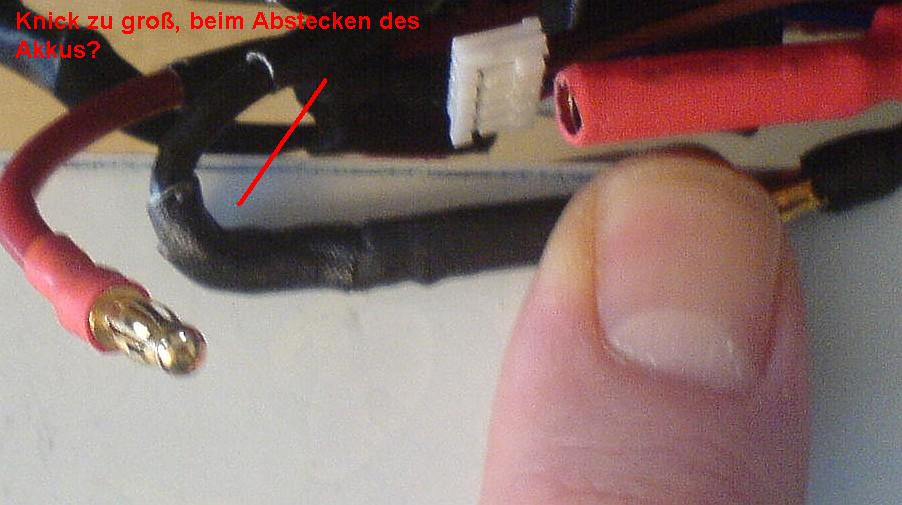 DSC06411.JPG