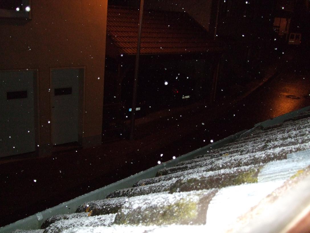DSCF1372.jpg