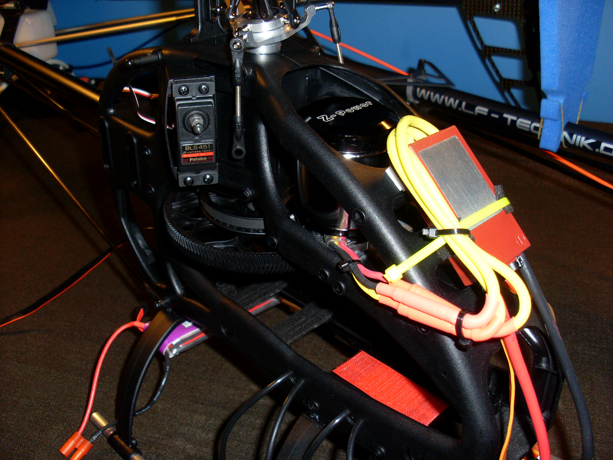 SL370335.JPG
