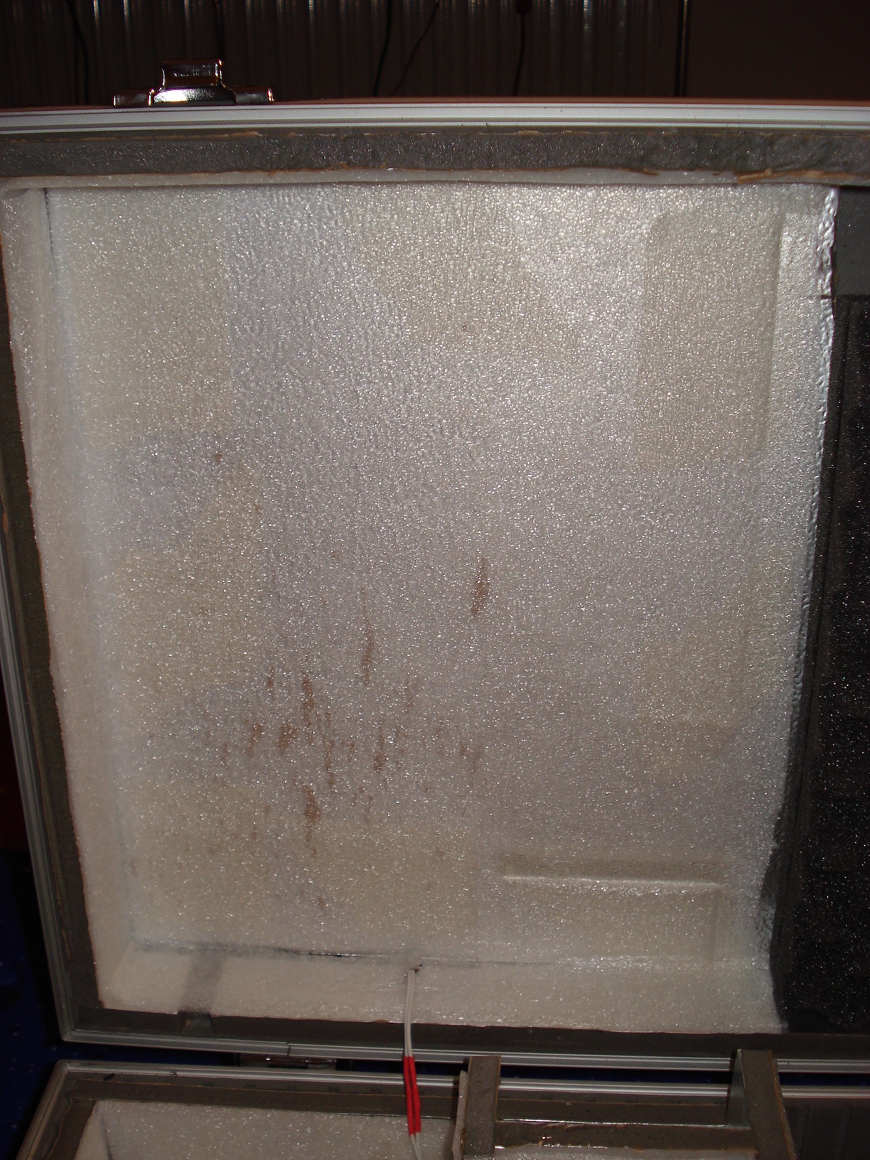 DSC01839.JPG
