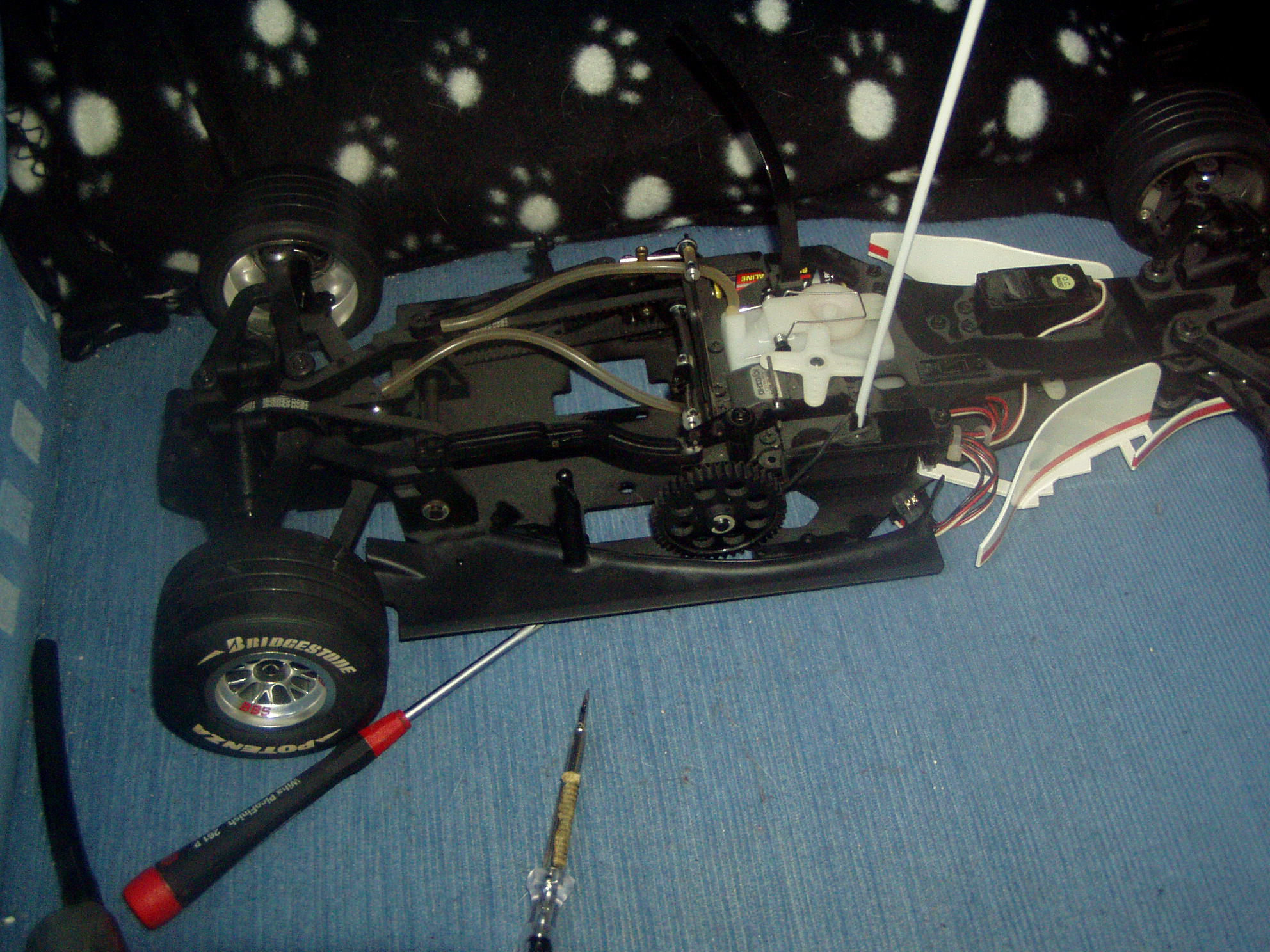 p1010197.jpg