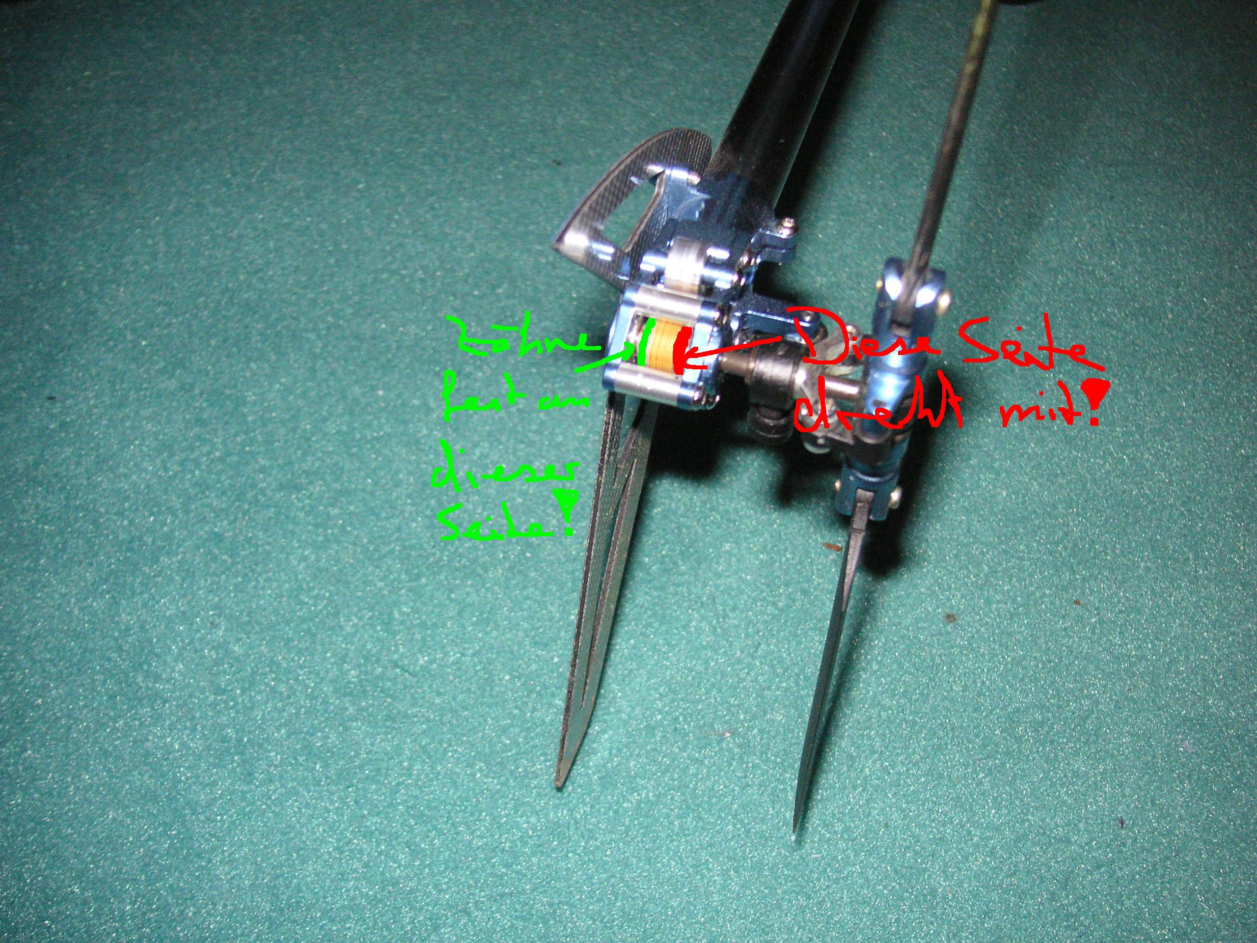 PICT43851.JPG