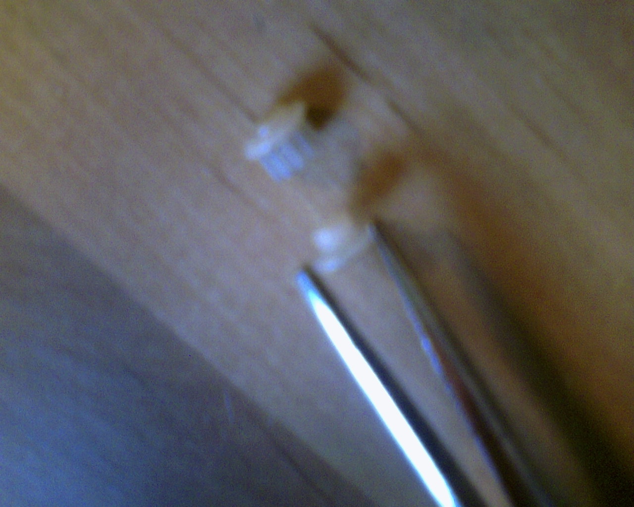 PICT0006.JPG