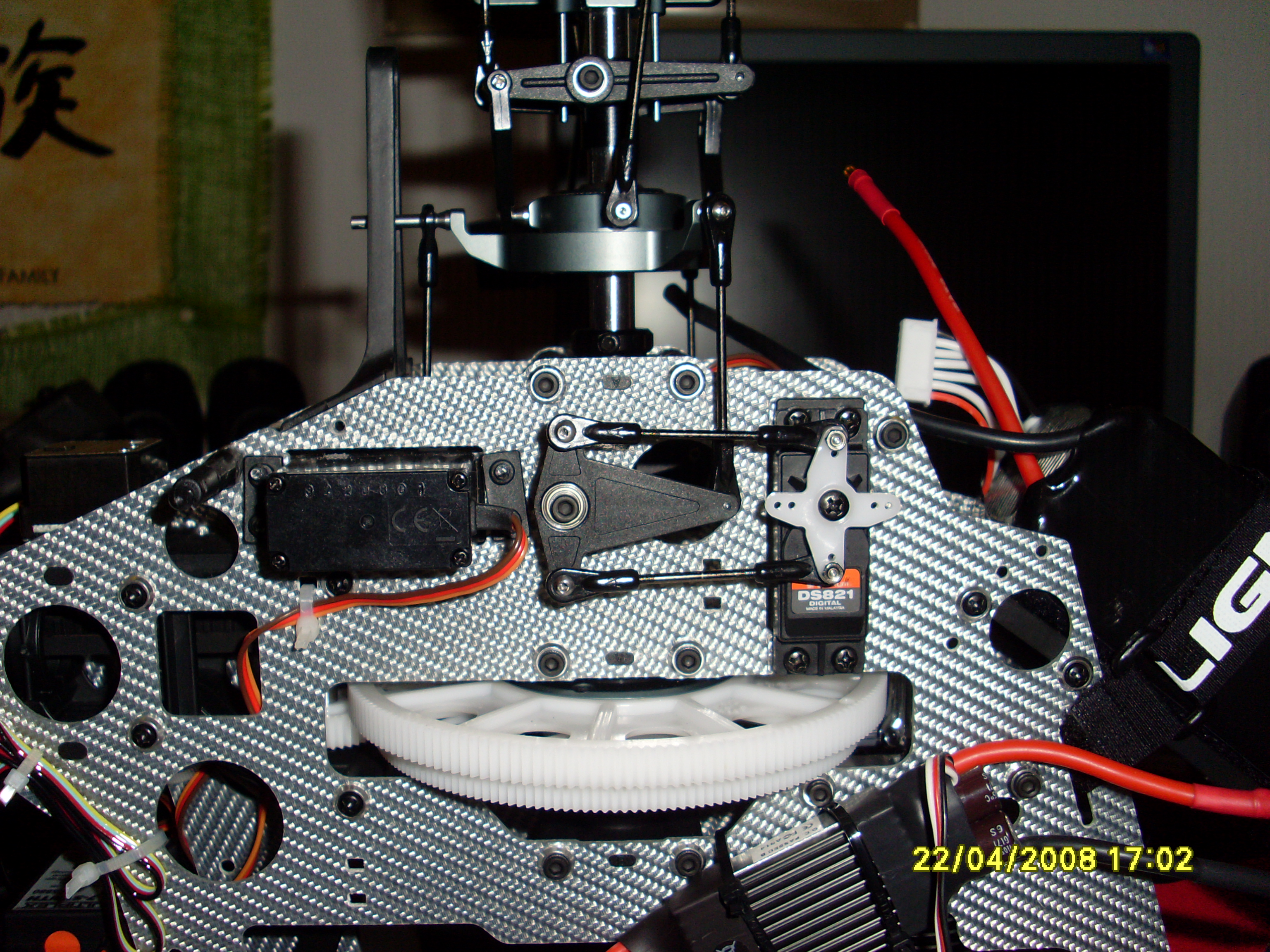 SL370251.JPG