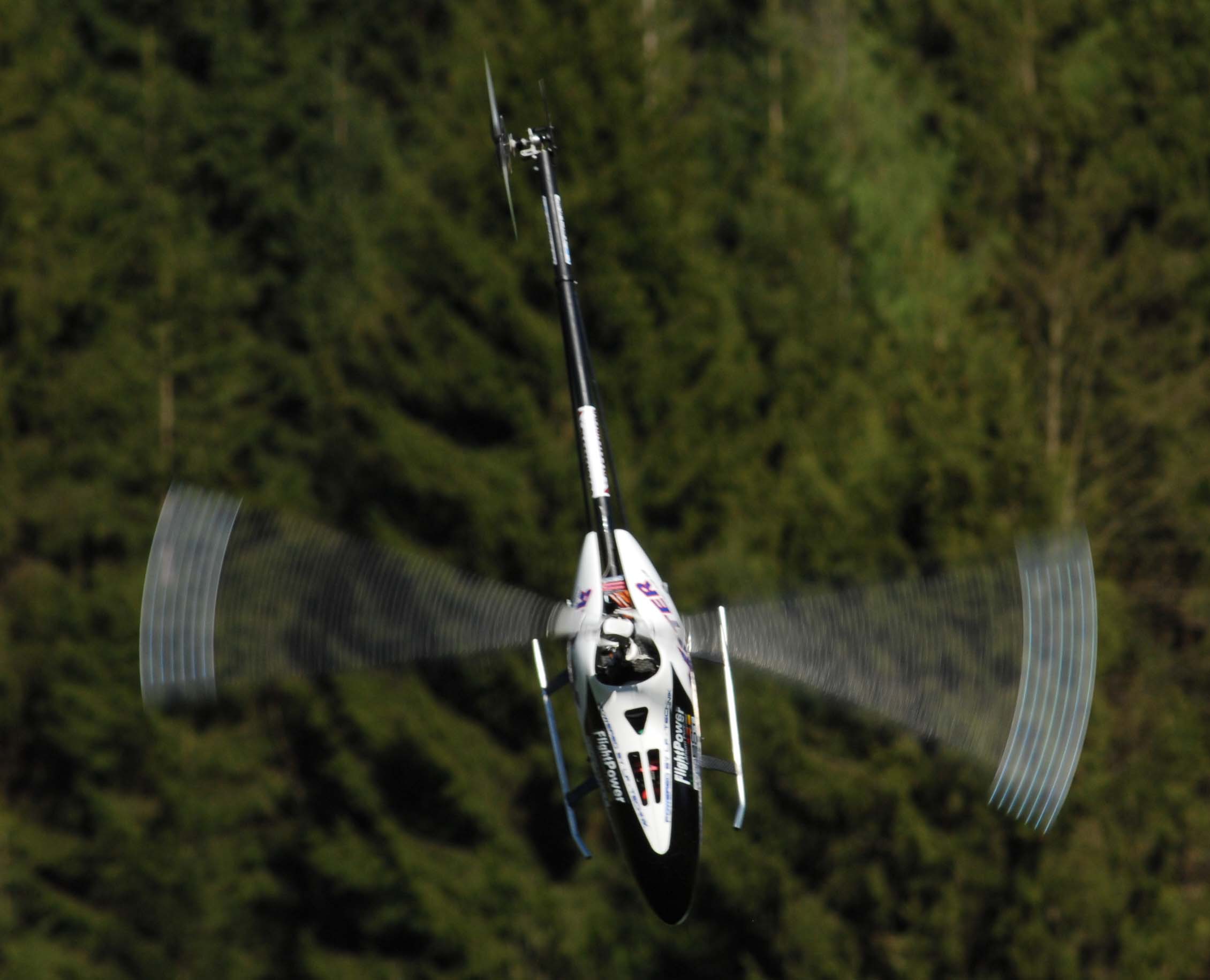 DSC_4119s.jpg