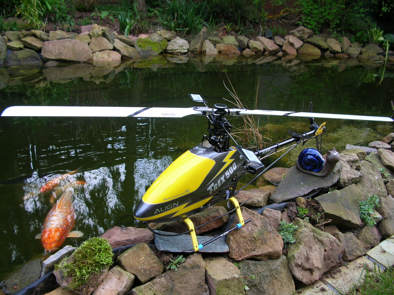 DSCN2531.JPG