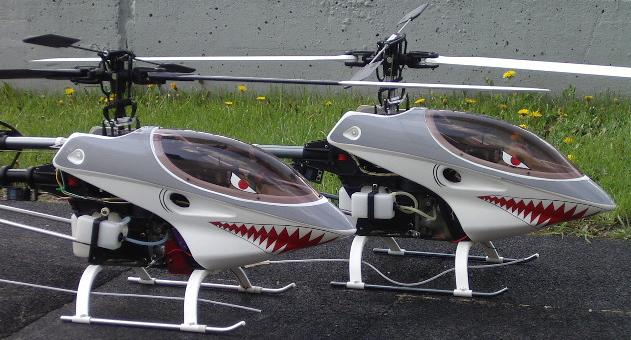 Raptor1.jpg