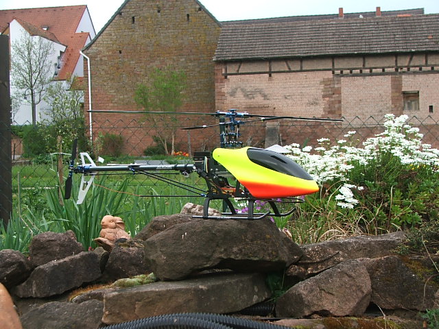 DSCF6020.JPG
