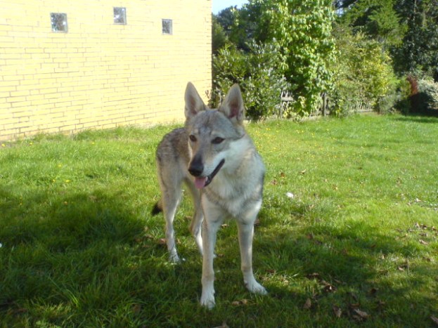 DSC00081.JPG