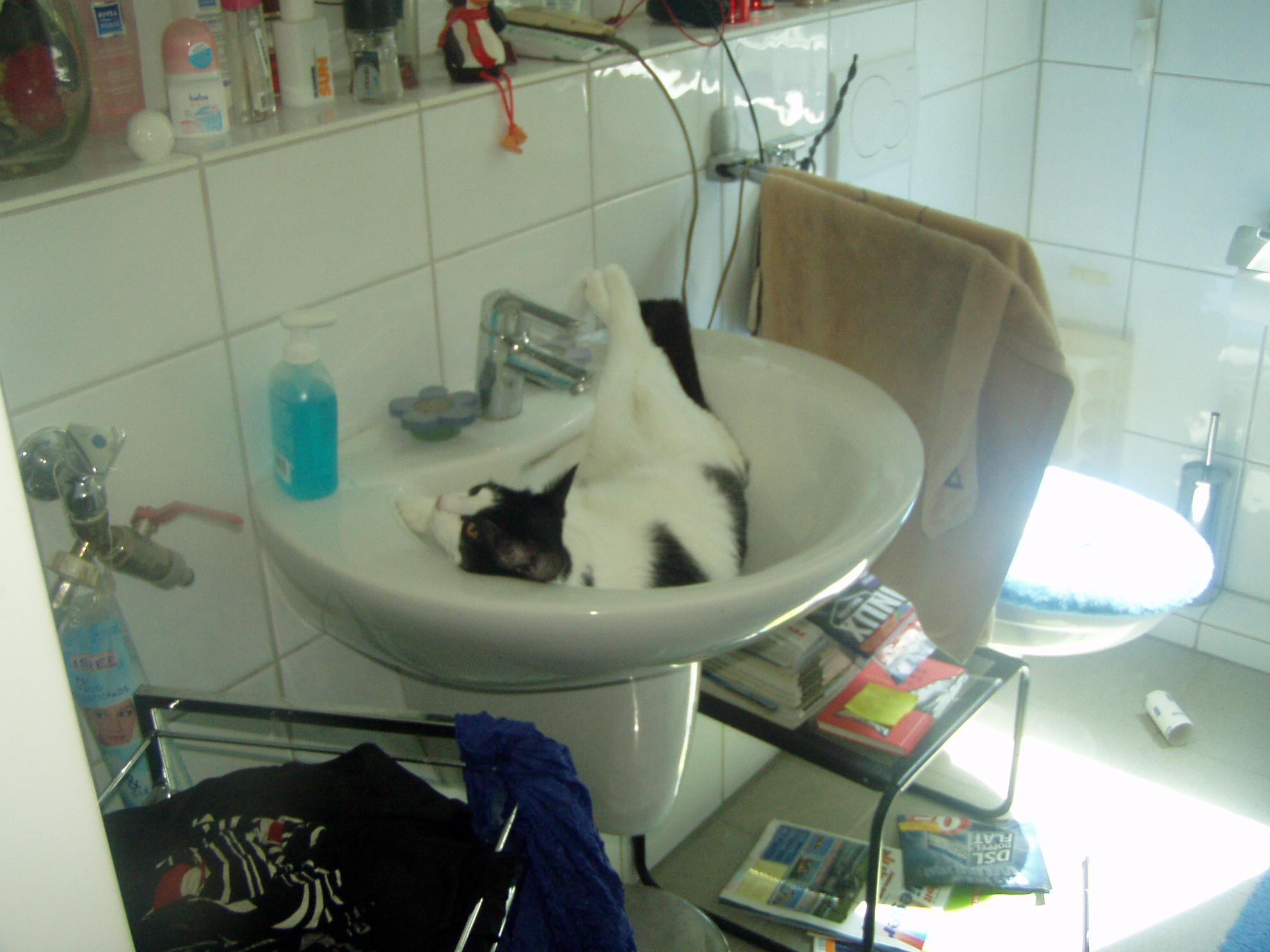 P1010234.JPG