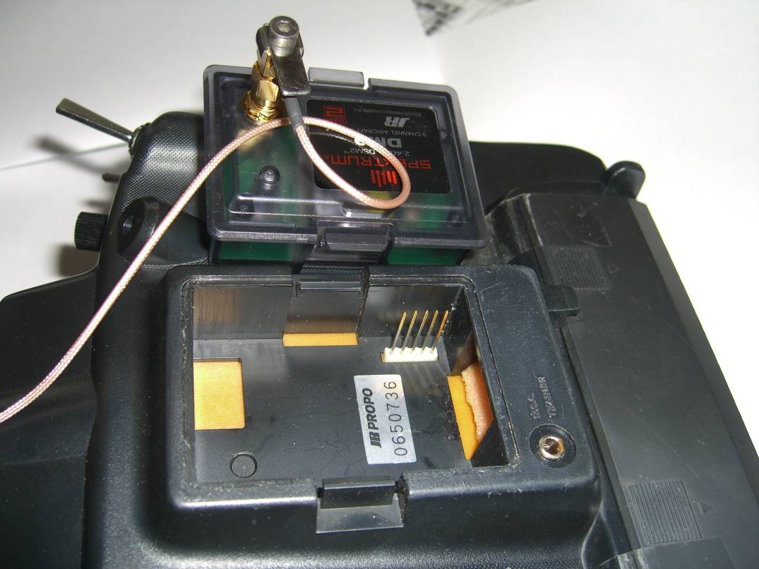 CIMG3713_1.jpg