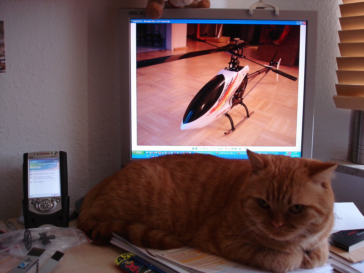 Mein Kater hat auch interesse an Helis :)