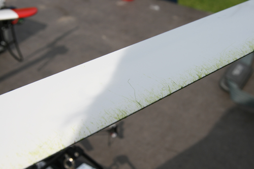 Rotorblades-grass2.jpg