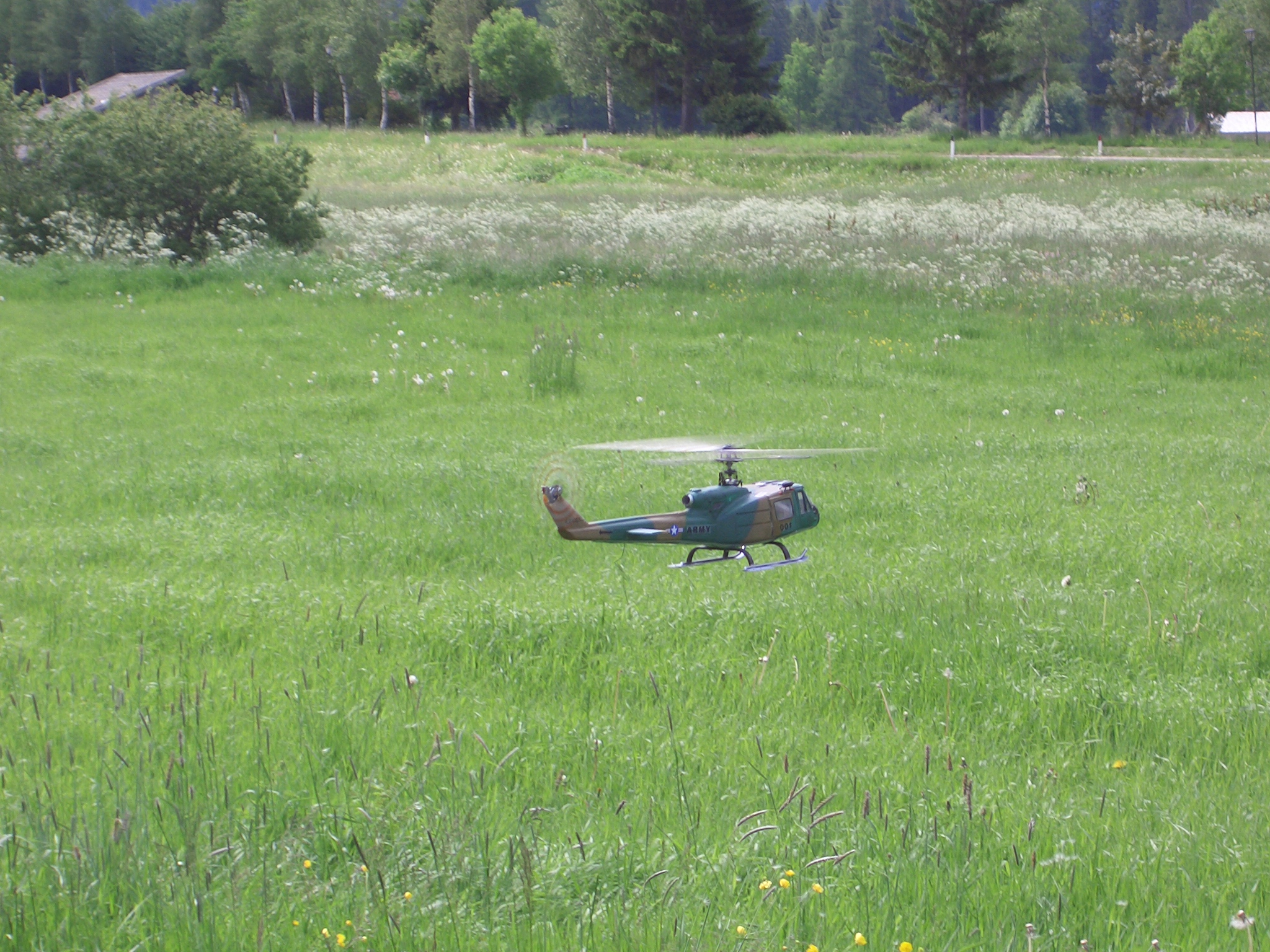 ...auch hier noch knapp über dem fiesen Schnappgraß
