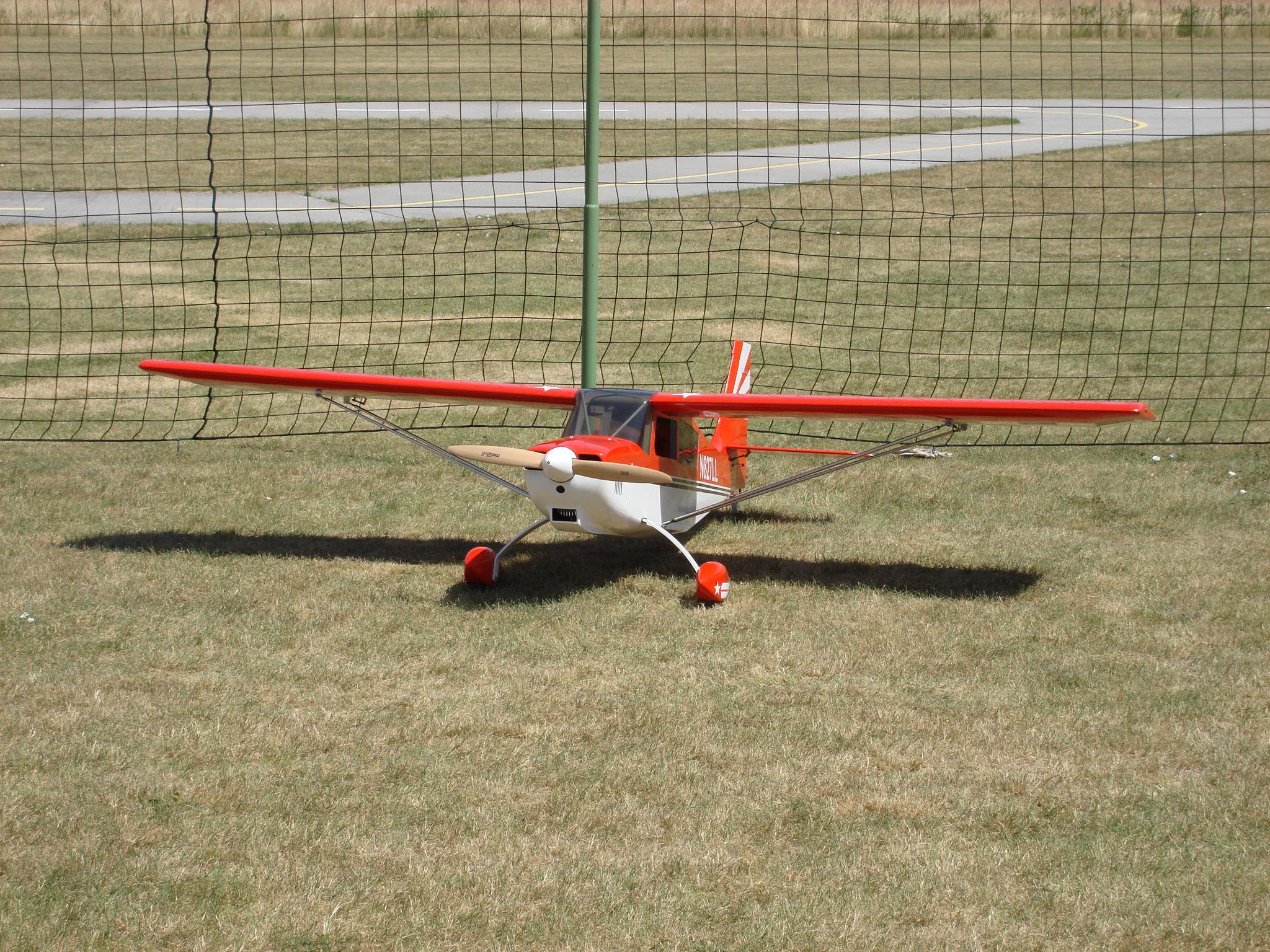 DSC08596.JPG