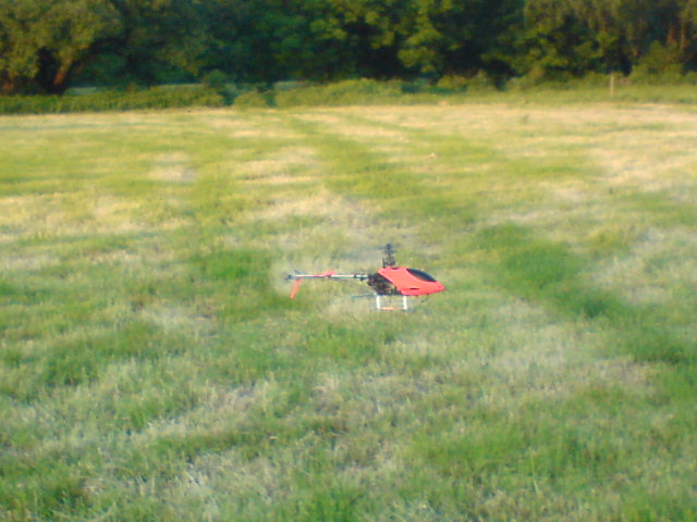 DSC00225.JPG