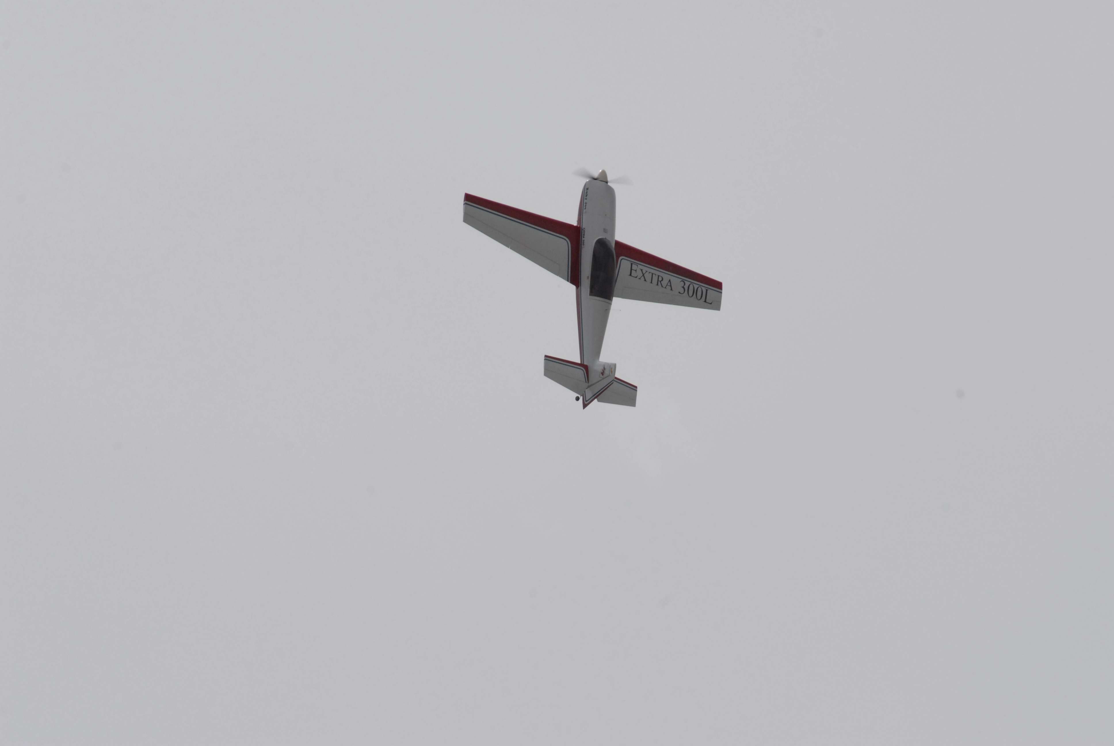DSC_4876.jpg