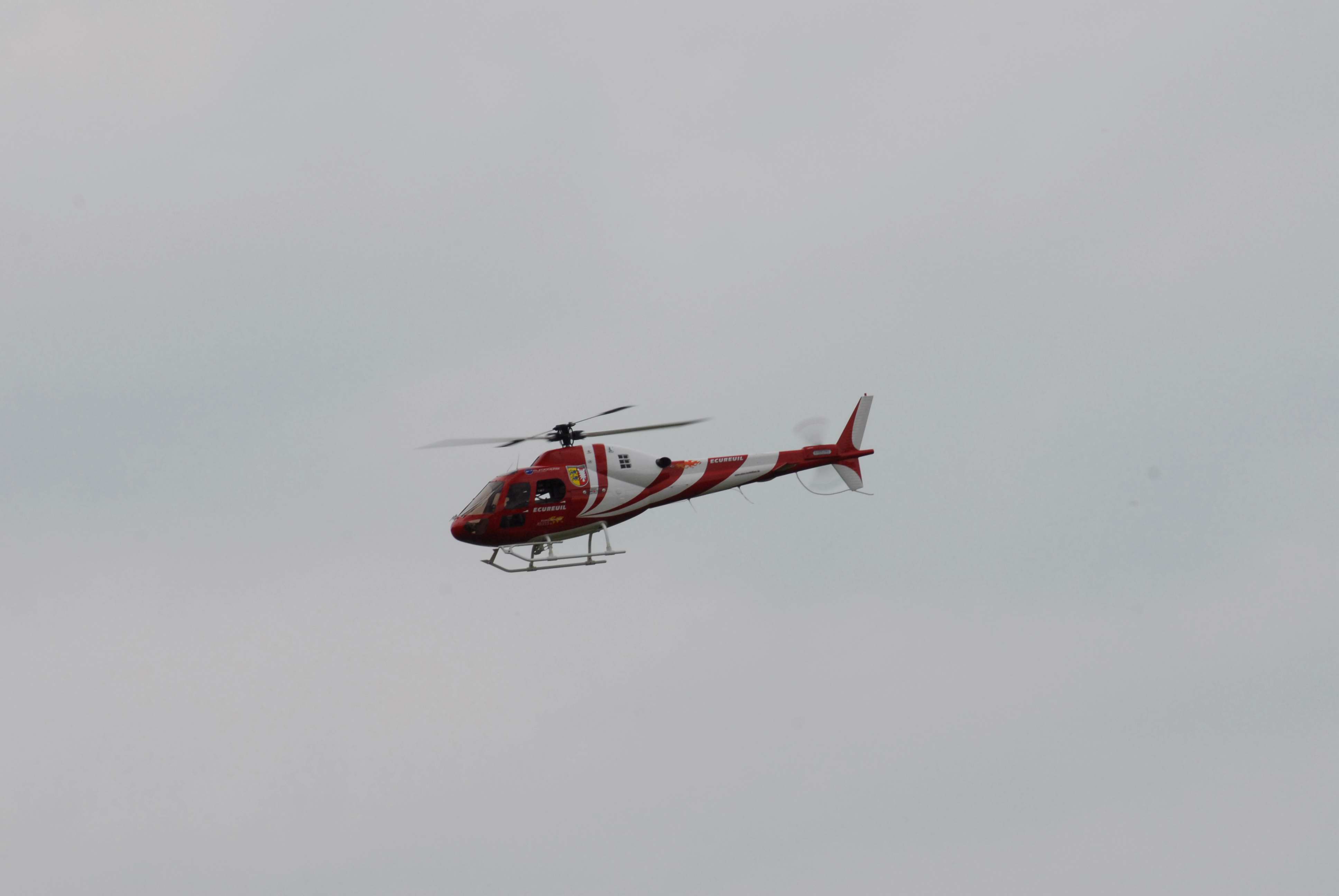 DSC_4867.jpg