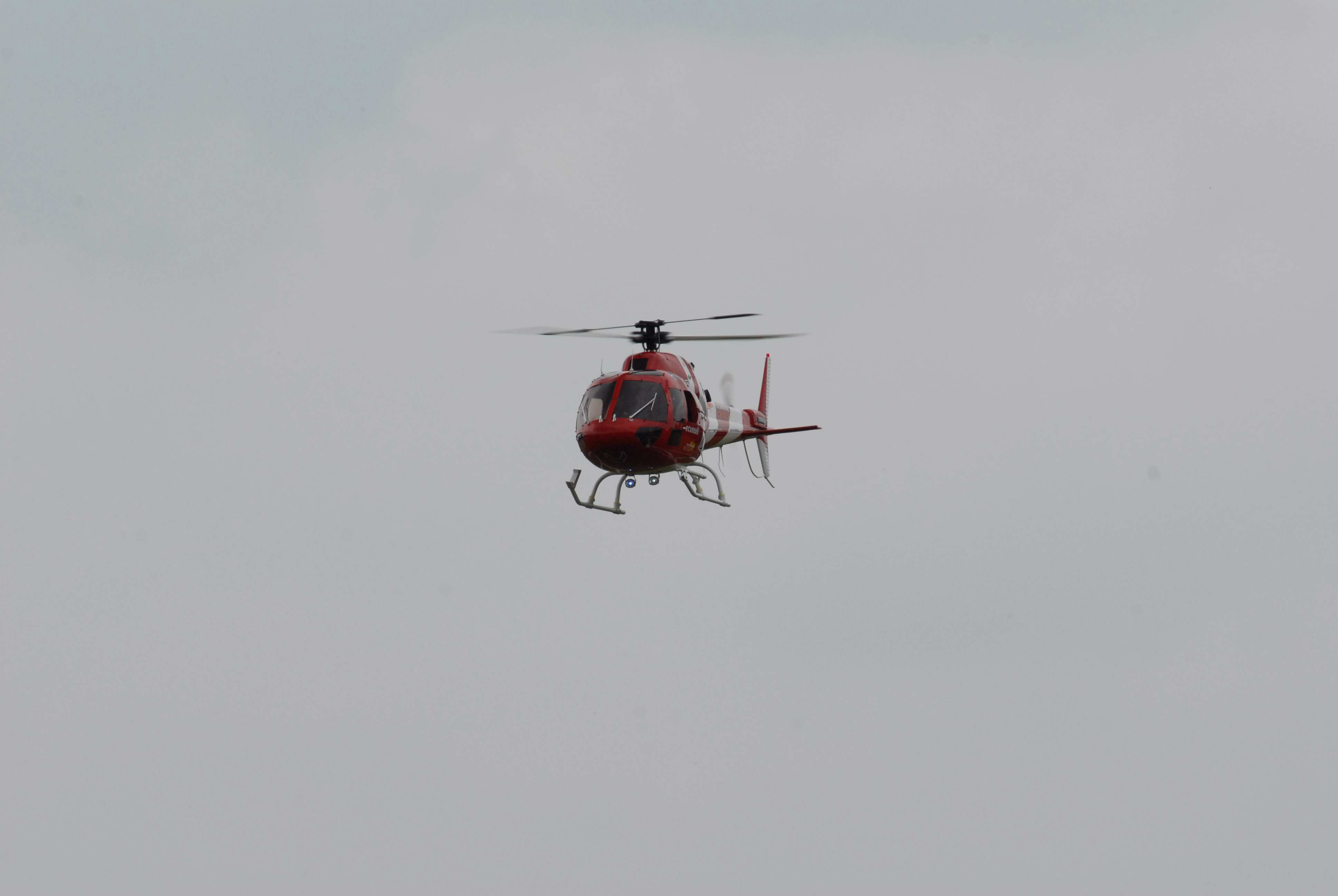 DSC_4865.jpg