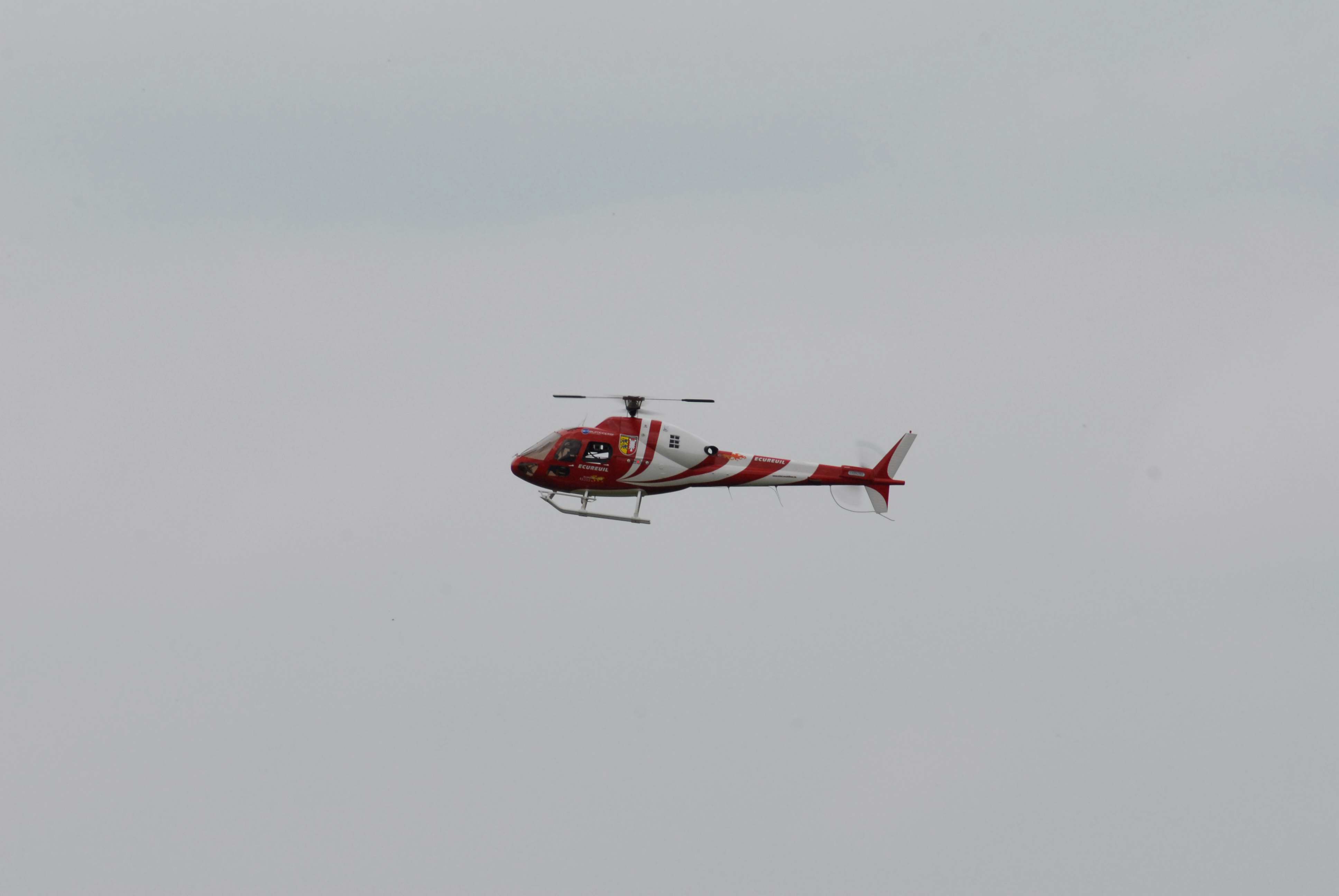 DSC_4864.jpg