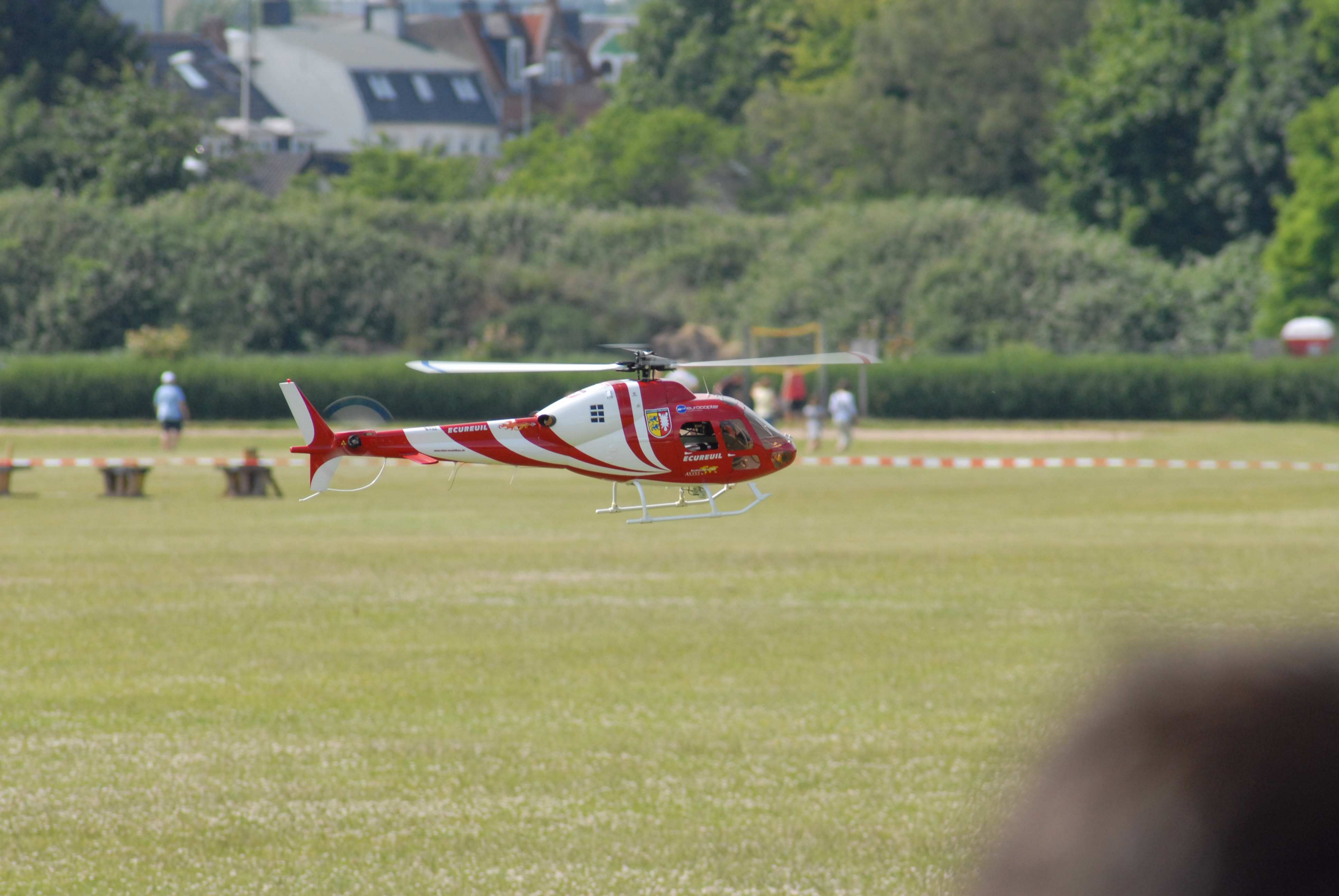 DSC_4906.jpg