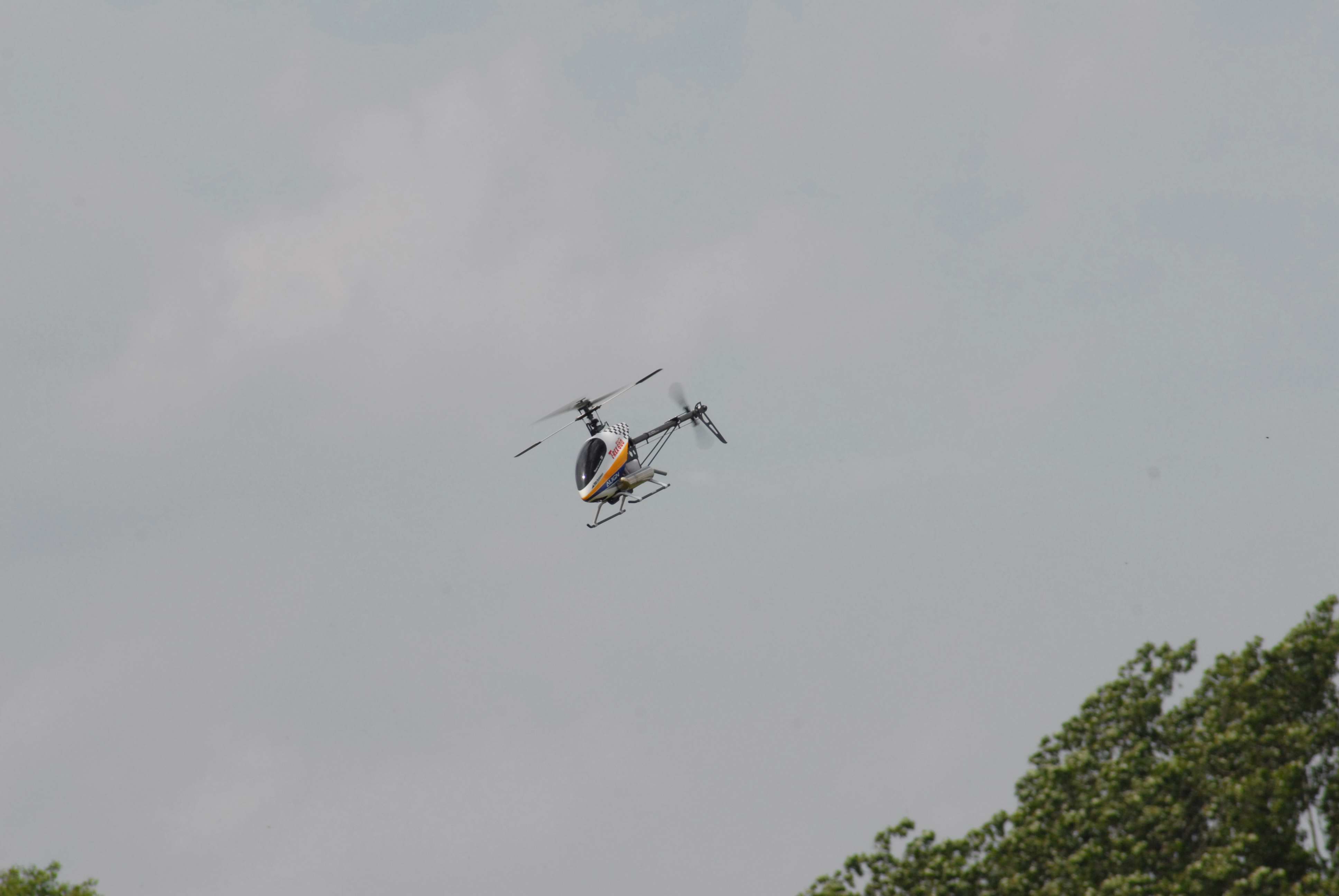 DSC_4904.jpg