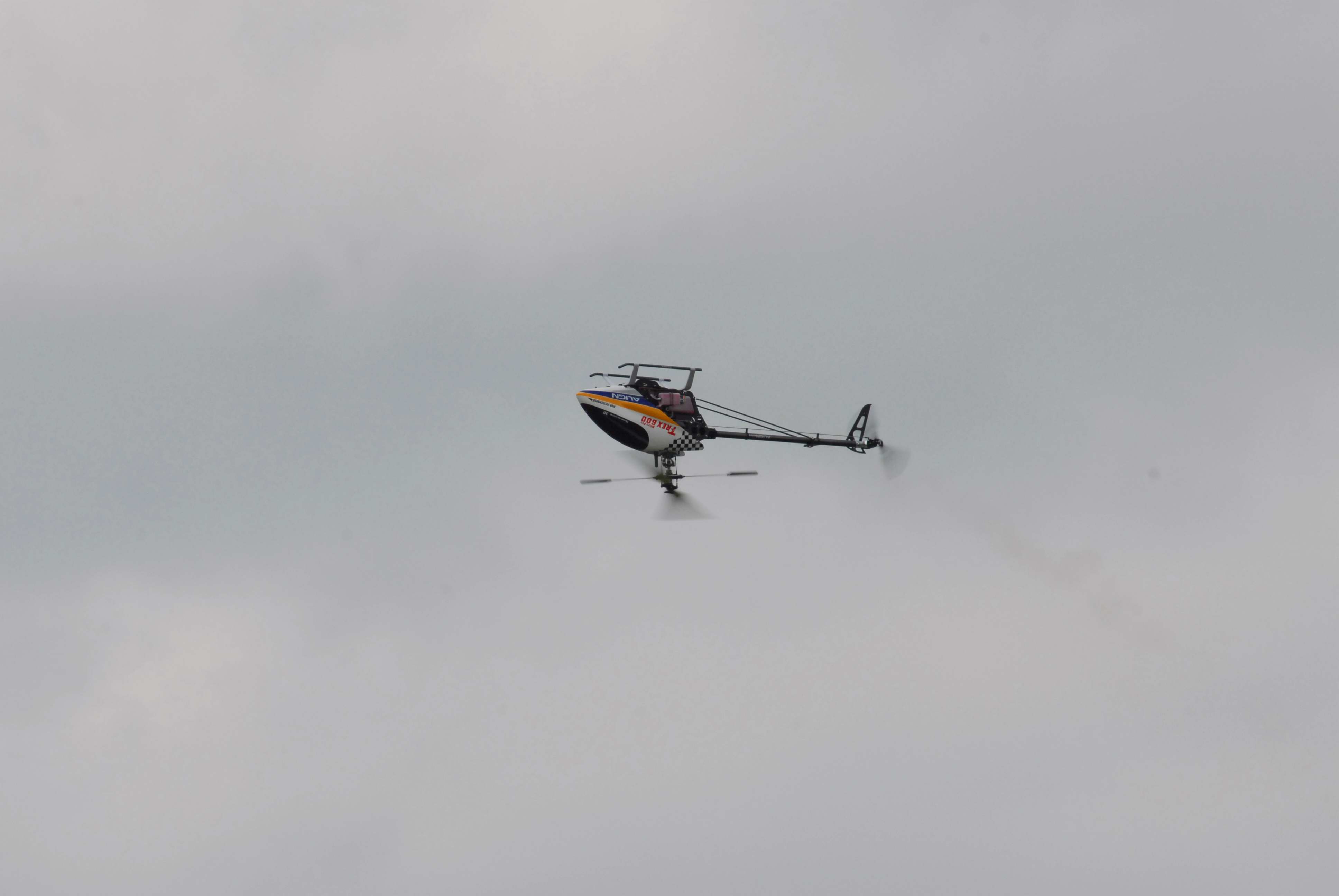 DSC_4902.jpg