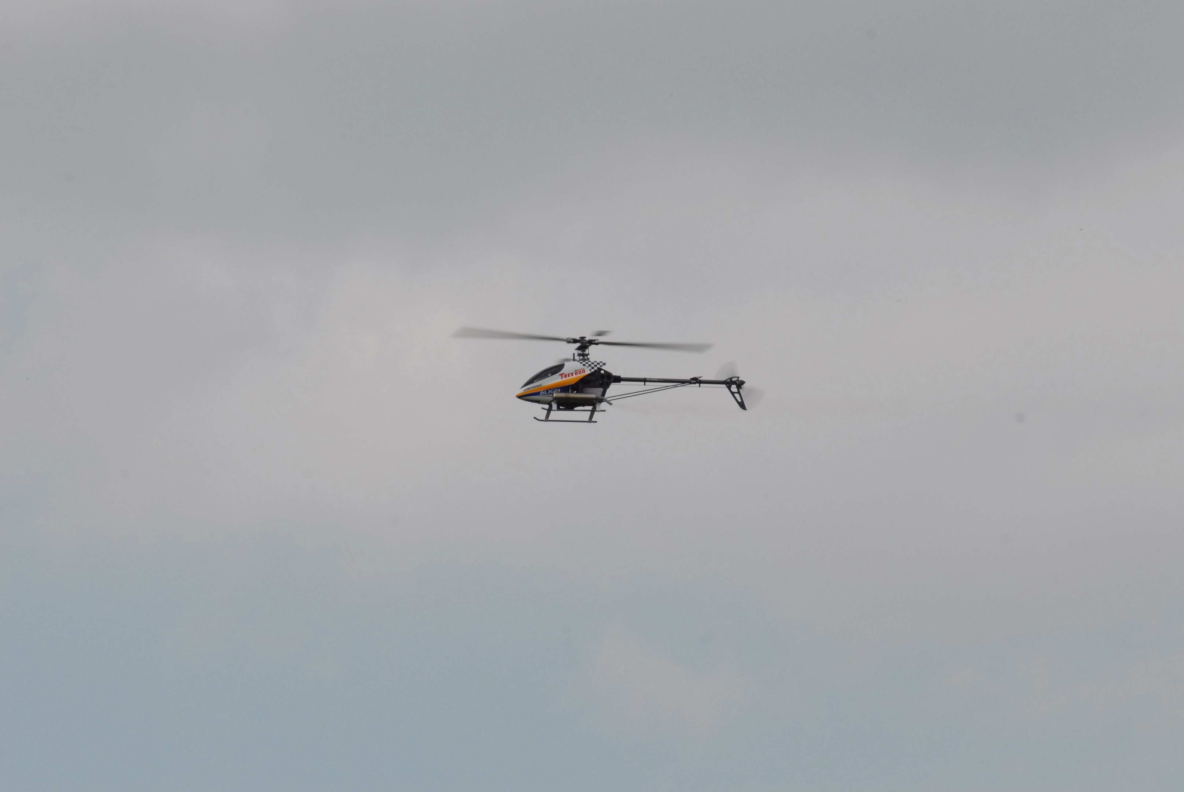 DSC_4901.jpg