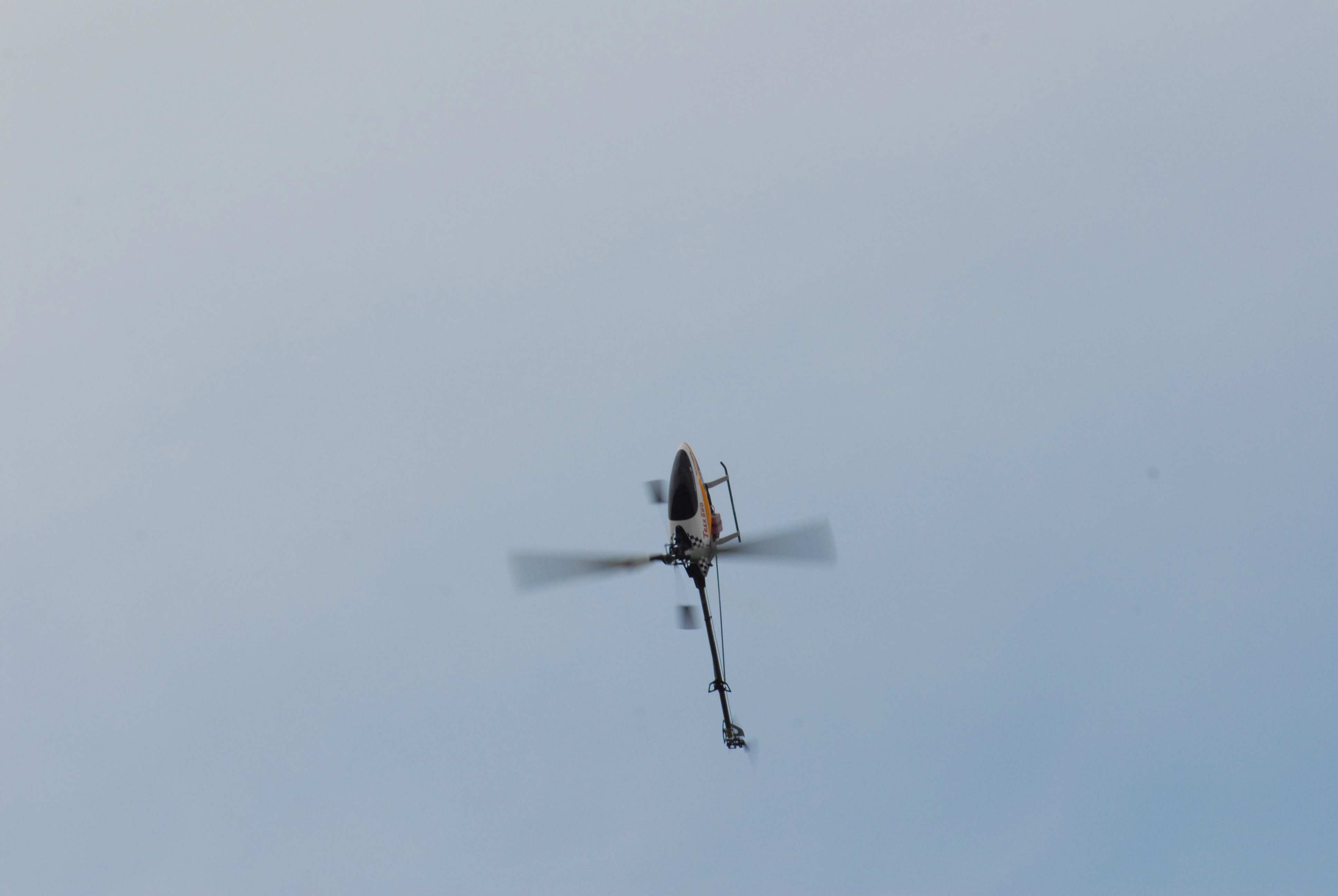 DSC_4900.jpg