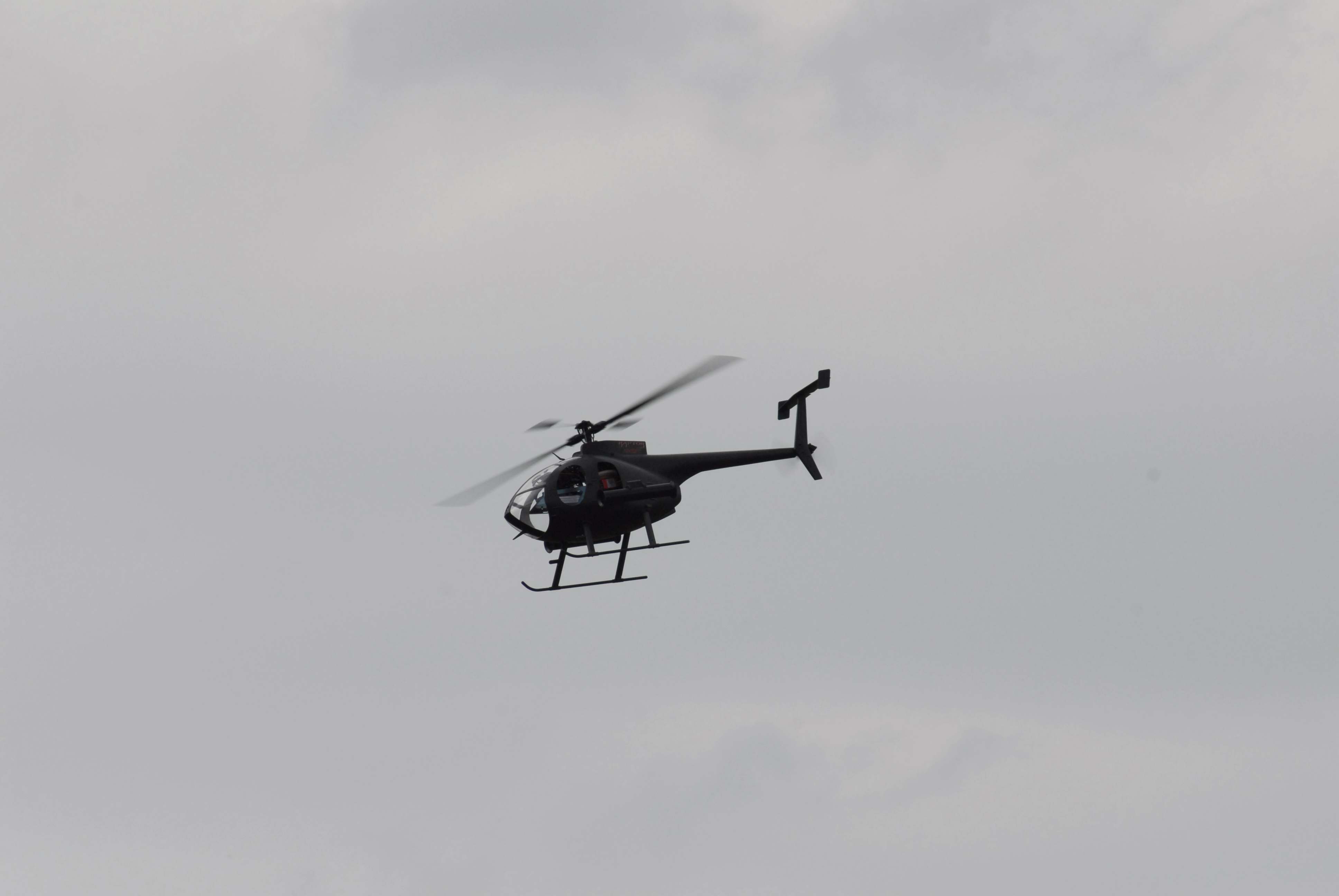 DSC_4910.jpg