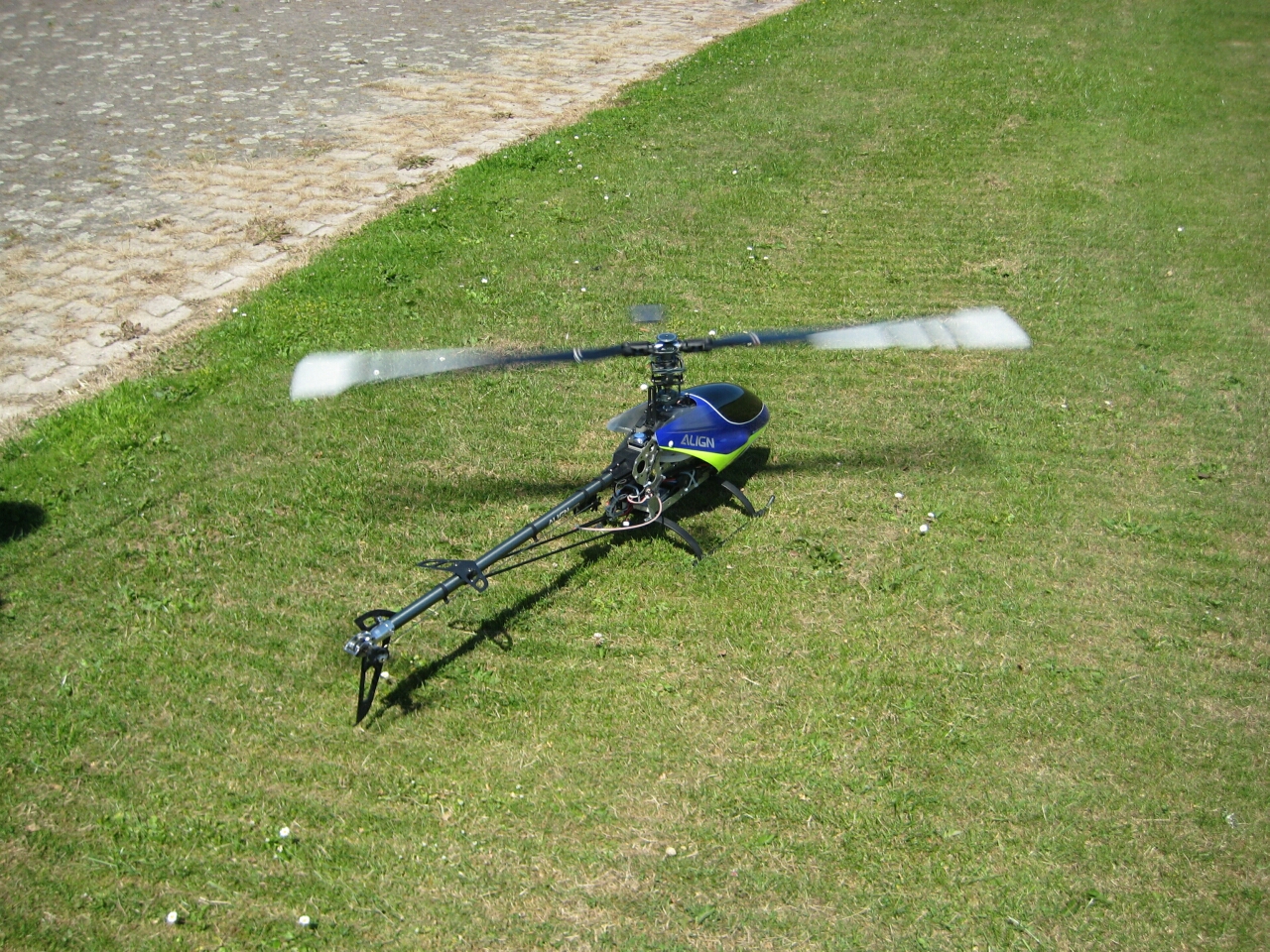 Michas neuer Rex, frisch aus dem Ei