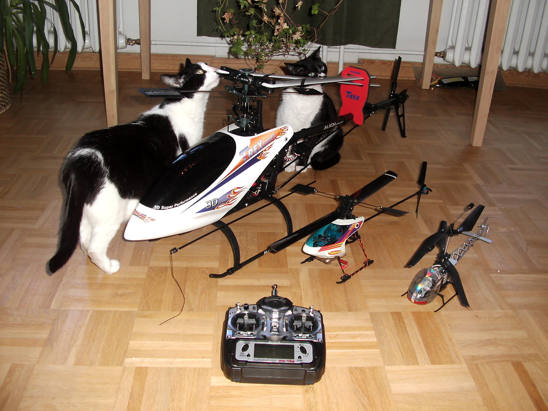 Die noch kleine Familie...