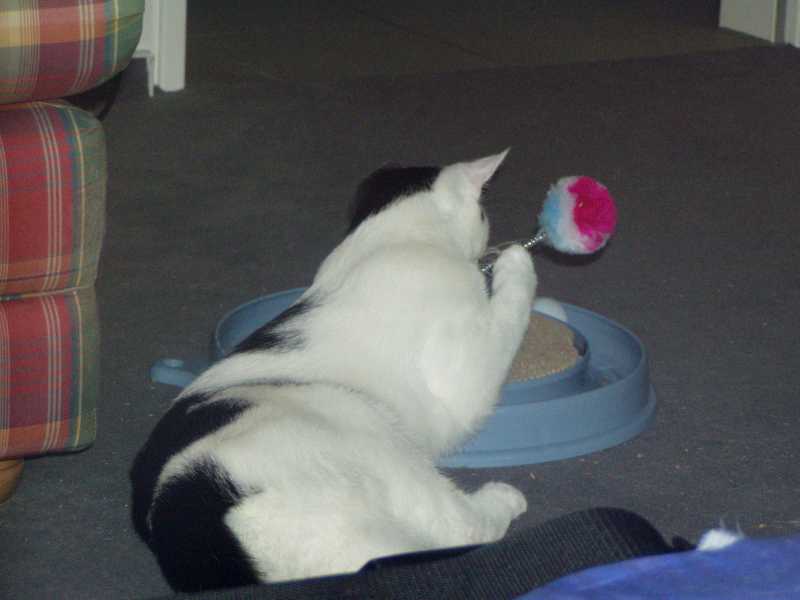 Uschi in ihrem Element