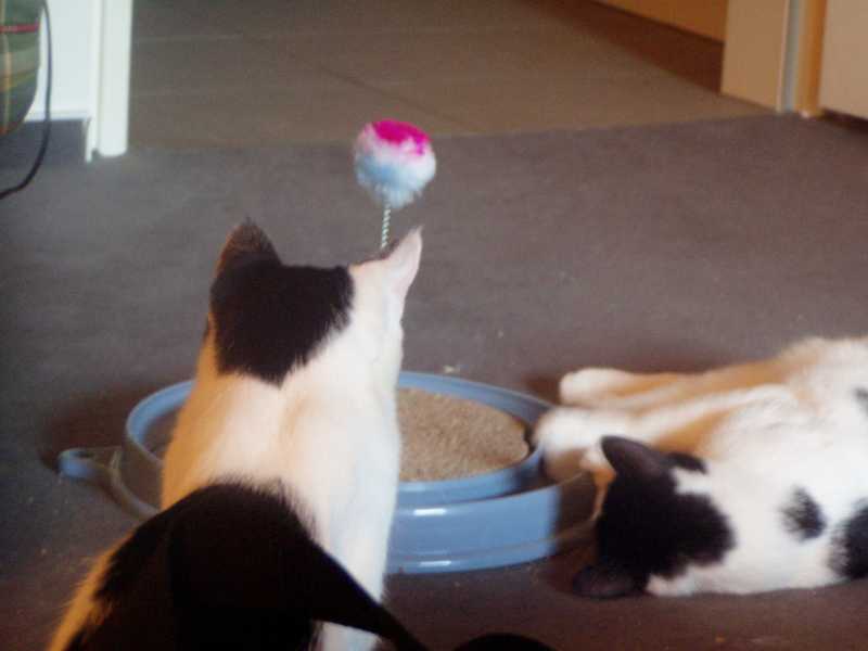 Klaus und Uschi