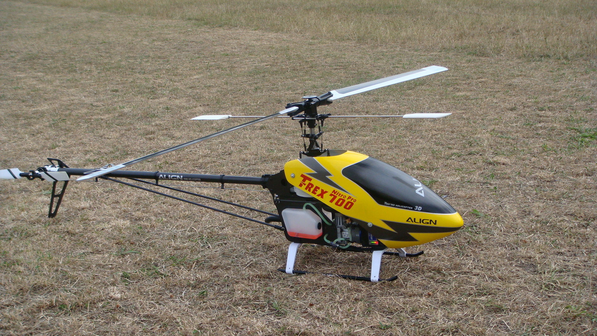 MINI TITAN SE 012.jpg