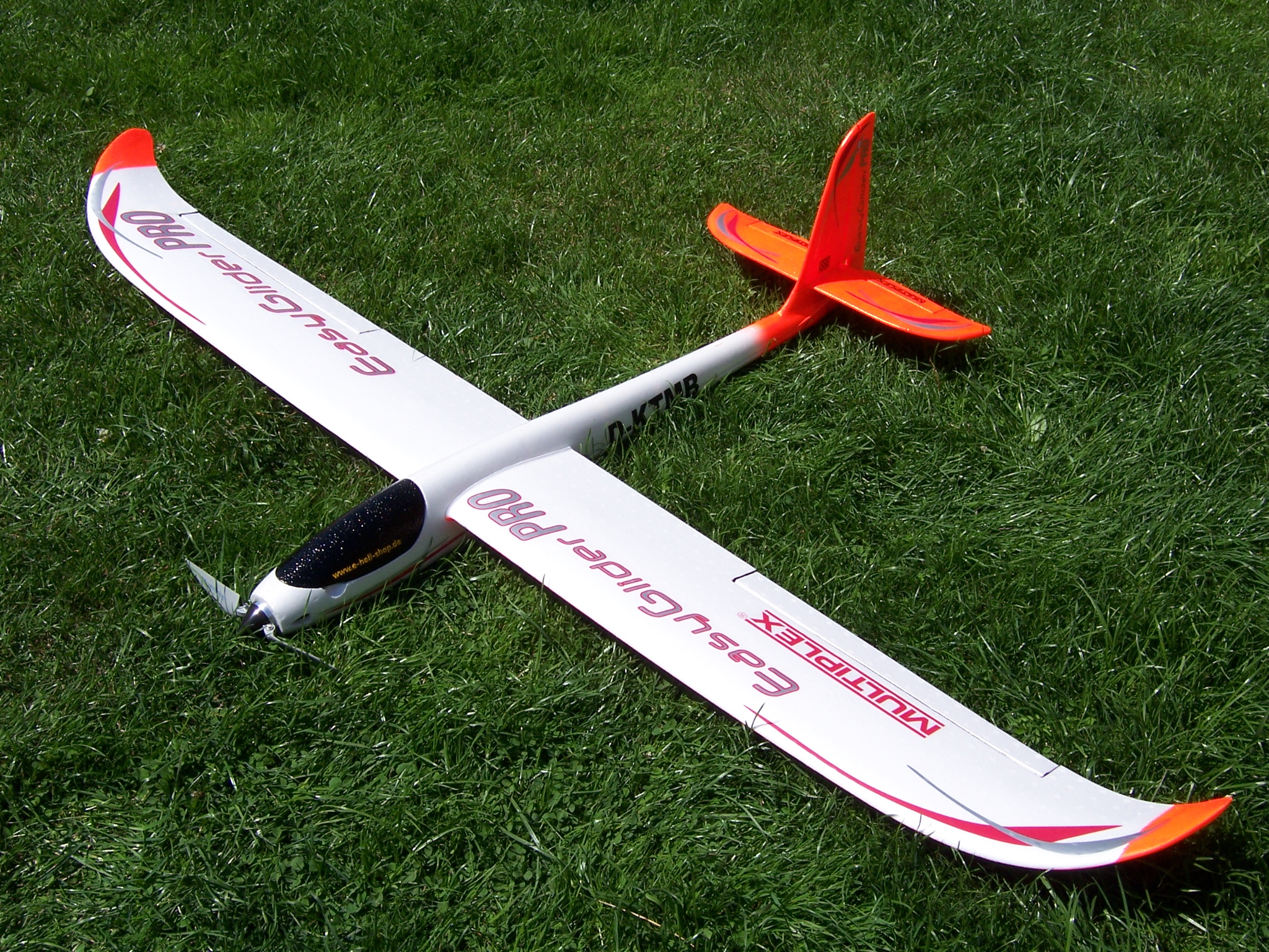 Easyglider Pro 011.jpg