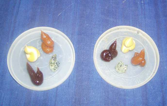P1010303_small.jpg