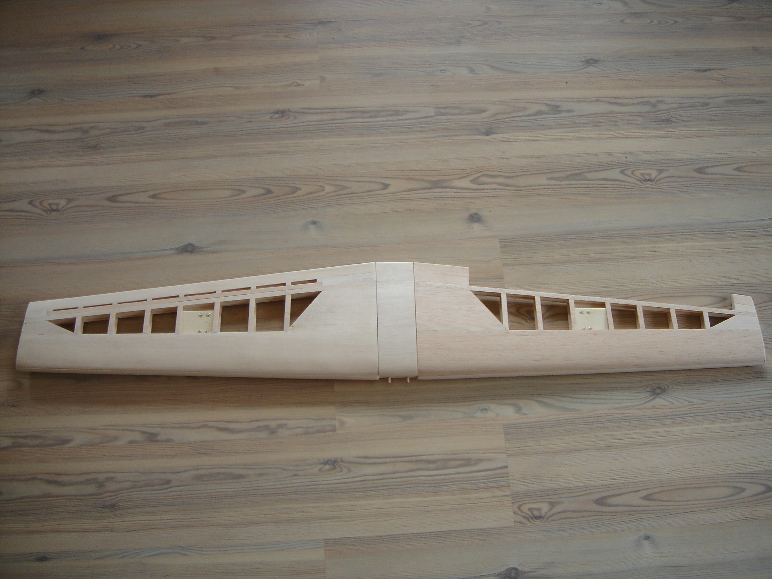 Balsa-Flieger 136.jpg